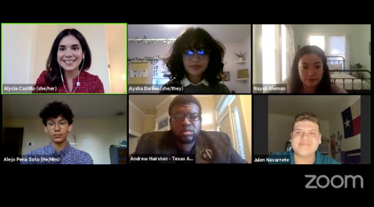 Screengrab of Zoom call with advocates and students
