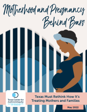 Motherhood and Pregnancy Behind Bars - Cover